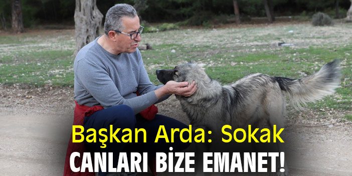 Başkan Arda: Sokak canları bize emanet!