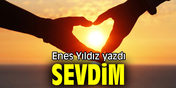 SEVDİM