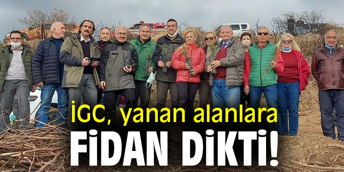 İGC, yanan alanlara fidan dikti!