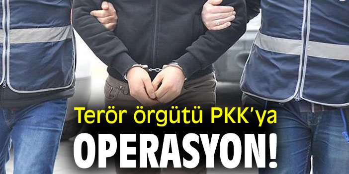 Terör örgütü PKK’ya operasyon!