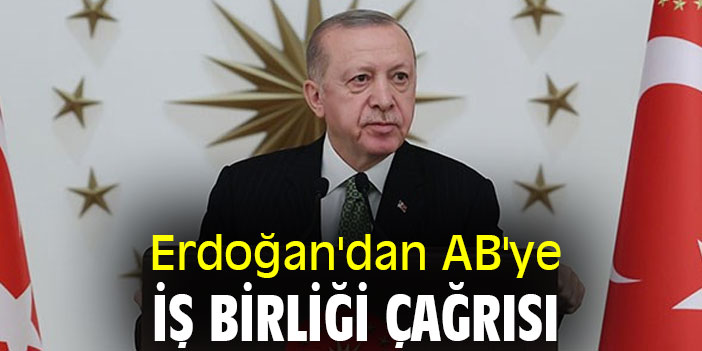 Erdoğan'dan AB'ye iş birliği çağrısı