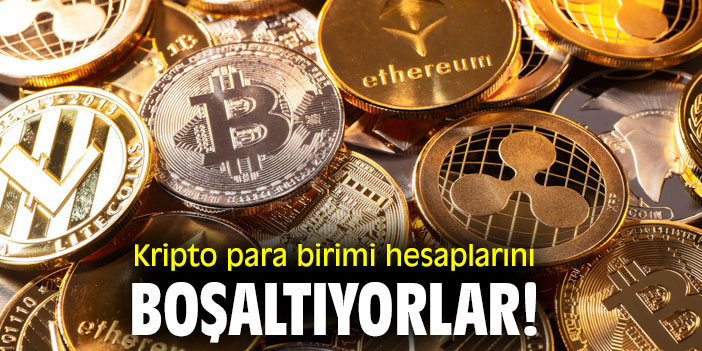 Kripto para birimi hesaplarını boşaltıyorlar!