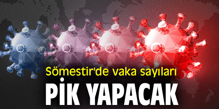 Bilim Kurulu Üyesi uyardı! Sömestir'de vaka sayıları pik yapacak