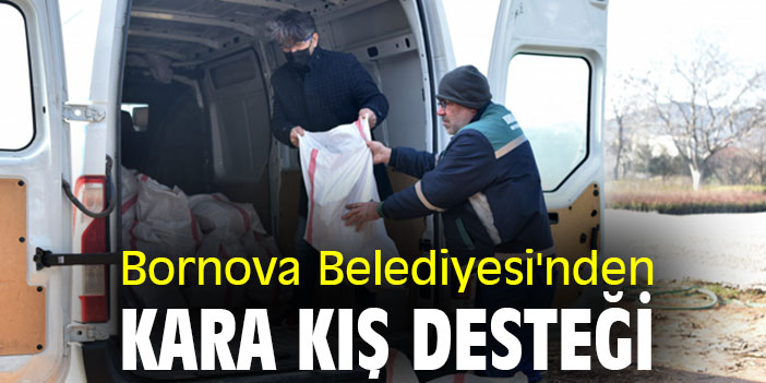 Bornova Belediyesi'nden kara kış desteği