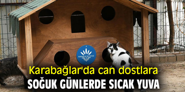 Karabağlar'da can dostlara soğuk günlerde sıcak yuva