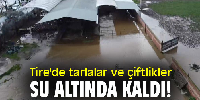 Tire'de tarlalar ve çiftlikler su altında kaldı!