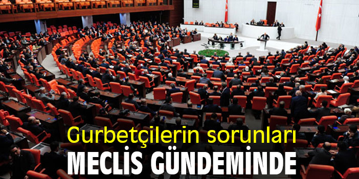 Gurbetçilerin sorunları Meclis gündeminde