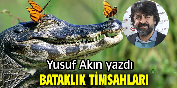 BATAKLIK TİMSAHLARI