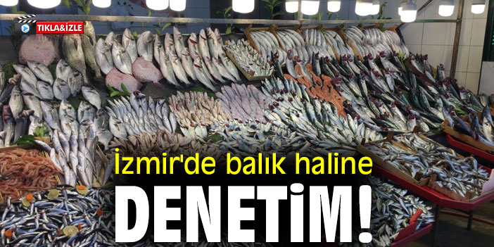 İzmir'de balık haline denetim!