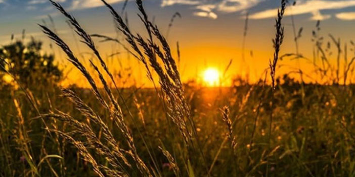 Gıda ve tarım sektöründe ihracat artıyor
