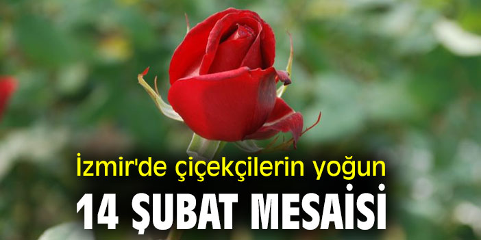 İzmir'de çiçekçilerin yoğun 14 Şubat mesaisi