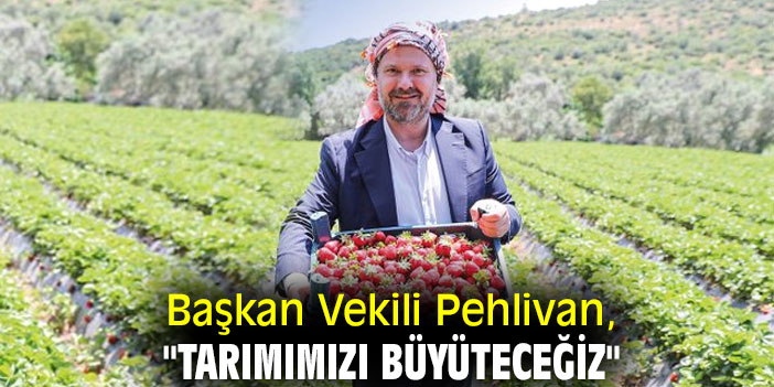 Başkan Vekili Pehlivan, "Tarımımızı büyüteceğiz"