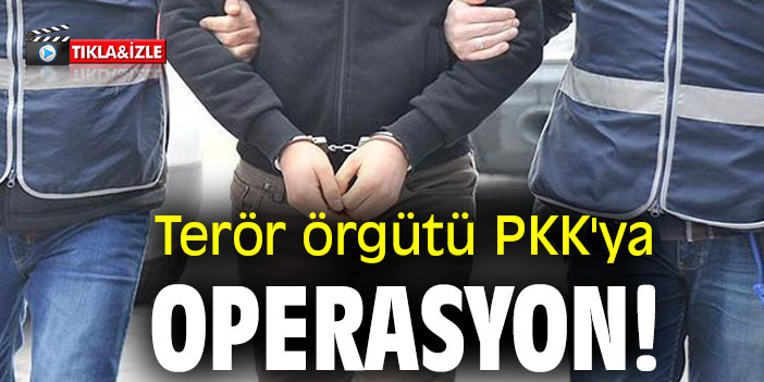 Terör örgütü PKK'ya operasyon!