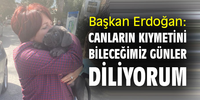 Başkan Erdoğan: Canların kıymetini bileceğimiz günler diliyorum