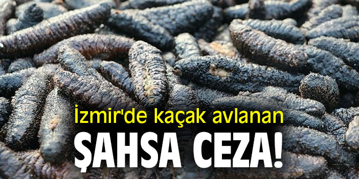 İzmir'de kaçak avlanan şahsa ceza!