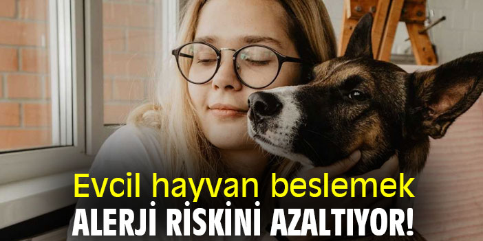 Evcil hayvan beslemek, alerji riskini azaltıyor!