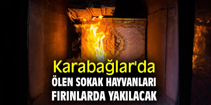 Karabağlar'da ölen sokak hayvanları fırınlarda yakılacak
