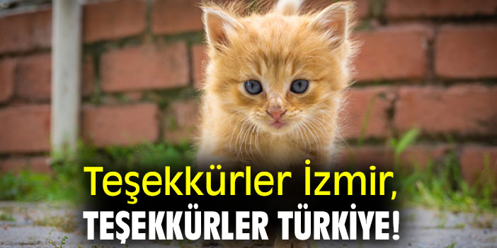 Teşekkürler İzmir, teşekkürler Türkiye!