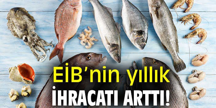 EİB’nin yıllık ihracatı arttı!