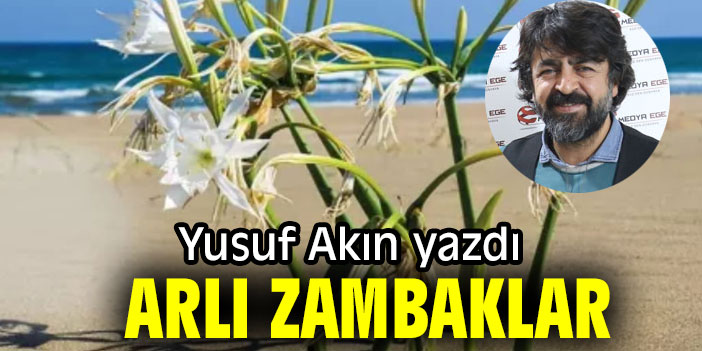 ARLI ZAMBAKLAR