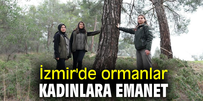 İzmir'de ormanlar kadınlara emanet