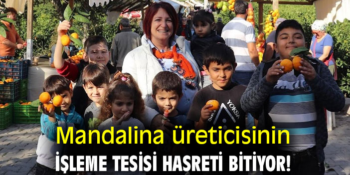 Mandalina üreticisinin işleme tesisi hasreti bitiyor!