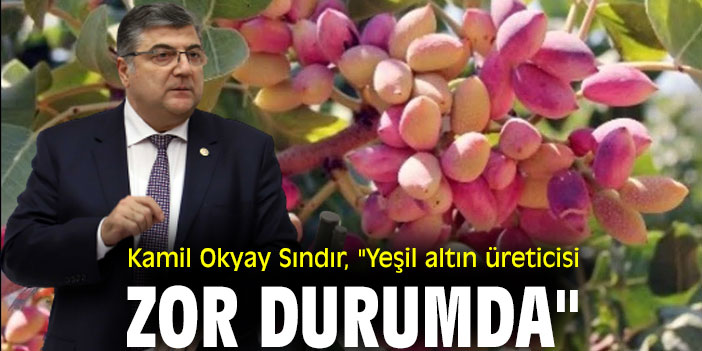 Kamil Okyay Sındır, "Yeşil altın üreticisi zor durumda"