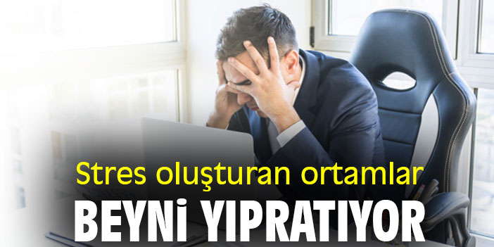 Stres oluşturan ortamlar, beyni yıpratıyor
