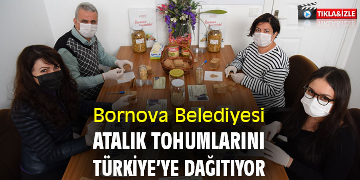 Bornova Belediyesi, atalık tohumlarını Türkiye’ye dağıtıyor