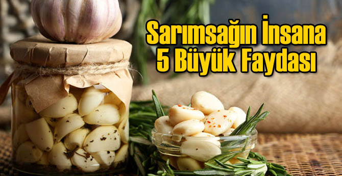 Sarımsağın İnsan Vücuduna 5 Büyük Faydası