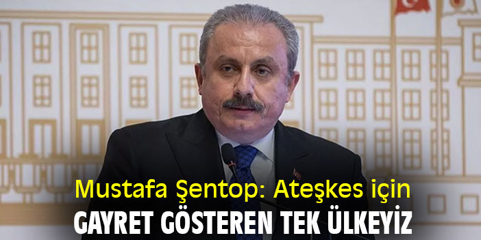 Mustafa Şentop: Ateşkes için gayret gösteren tek ülkeyiz