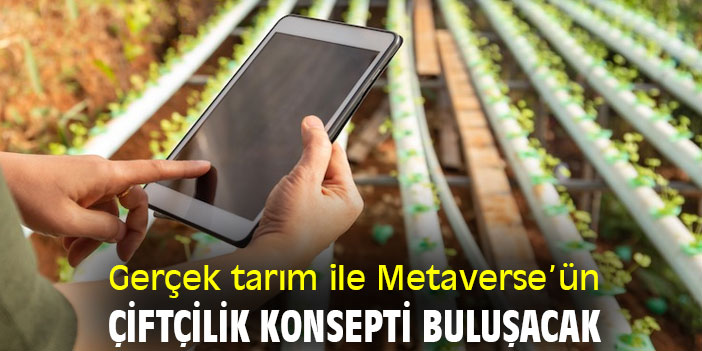 Gerçek tarım ile Metaverse’ün çiftçilik konsepti buluşacak