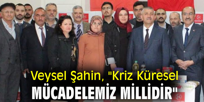 Veysel Şahin, "Kriz Küresel Mücadelemiz Millidir"