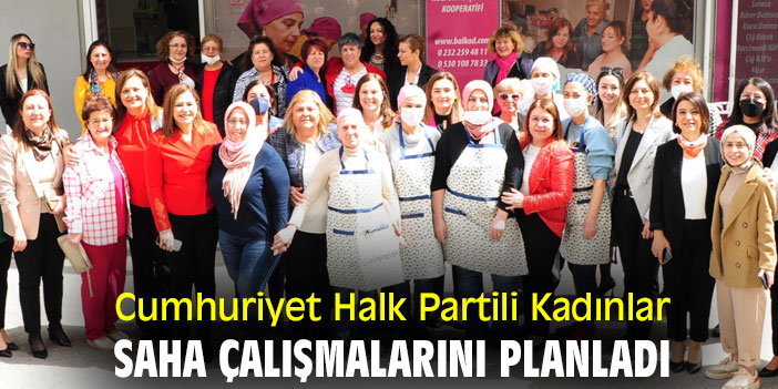 Cumhuriyet Halk Partili Kadınlar, Saha Çalışmalarını Planladı