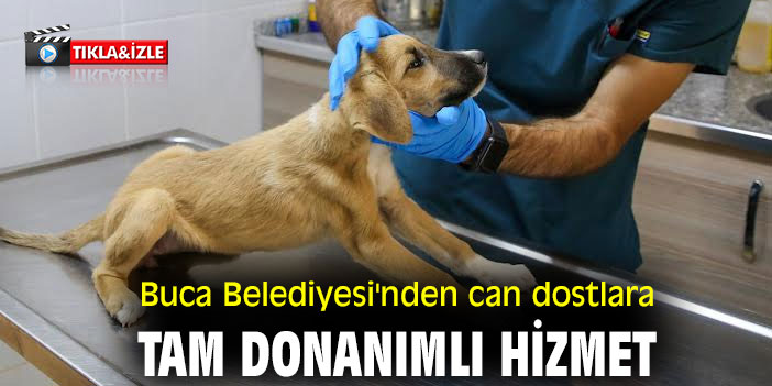 Buca Belediyesi'nden can dostlara tam donanımlı hizmet