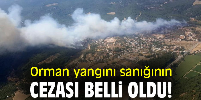 Orman yangını sanığının cezası belli oldu!