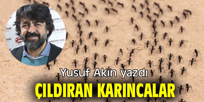 ÇILDIRAN KARINCALAR