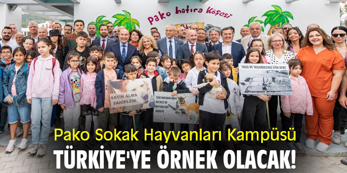 Pako Sokak Hayvanları Kampüsü, Türkiye'ye örnek olacak!