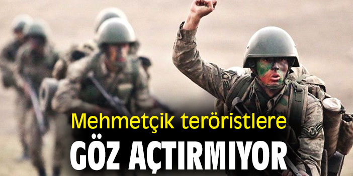 Mehmetçik teröristlere göz açtırmıyor