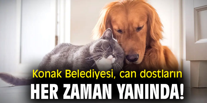 Konak Belediyesi, can dostların her zaman yanında!