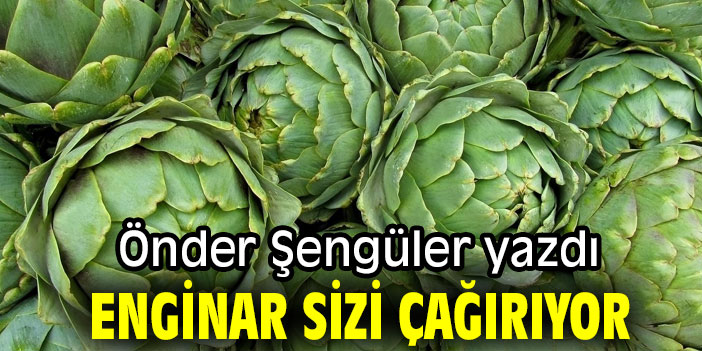 ENGİNAR SİZİ ÇAĞIRIYOR