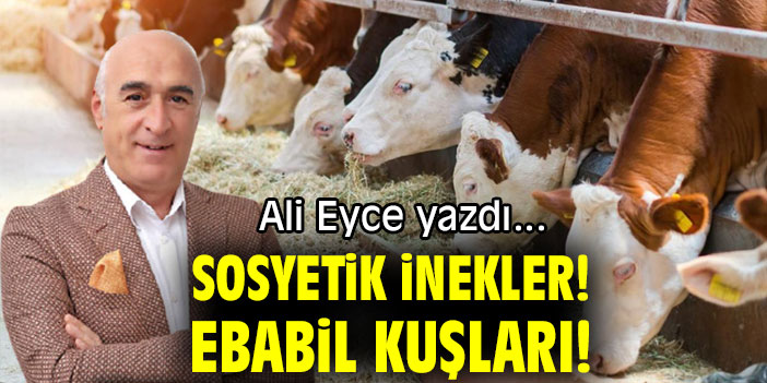 SOSYETİK İNEKLER! EBABİL KUŞLARI!