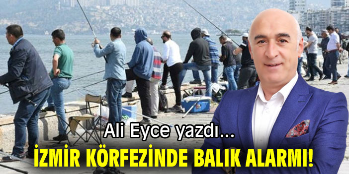 İZMİR KÖRFEZİNDE BALIK ALARMI!