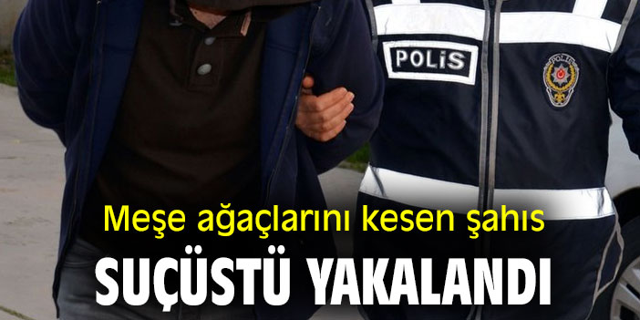 Meşe ağaçlarını kesen şahıs suçüstü yakalandı