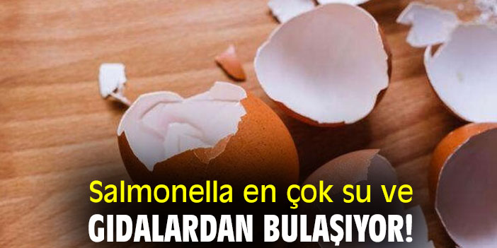 Salmonella en çok su ve gıdalardan bulaşıyor!
