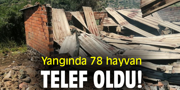 Yangında 78 hayvan telef oldu!