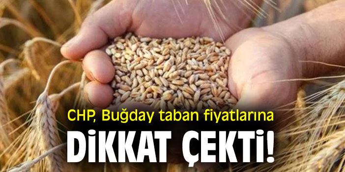CHP, Buğday taban fiyatlarına dikkat çekti!