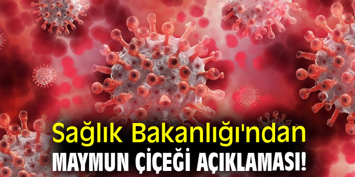 Sağlık Bakanlığı'ndan maymun çiçeği açıklaması!