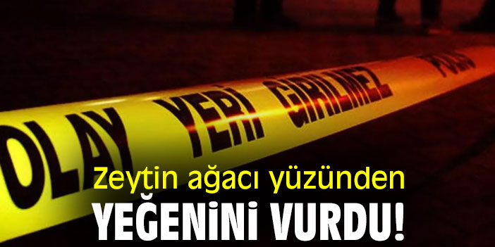 Zeytin ağacı yüzünden yeğenini vurdu!