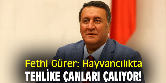 Fethi Gürer: Hayvancılıkta tehlike çanları çalıyor!